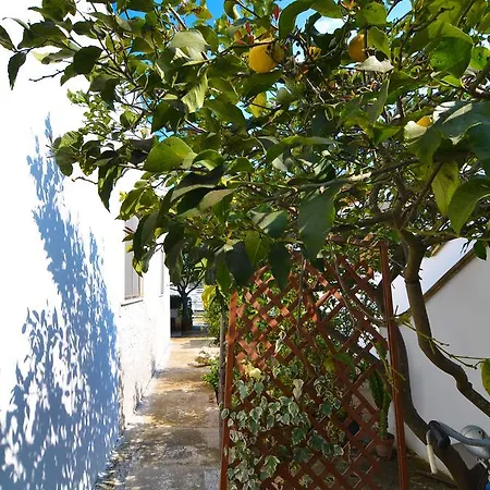 Дом отдыха Casa Sonia 5 Pp Sx Торре-Лапилло