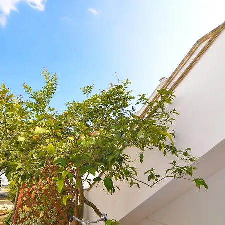 Casa Sonia 5 Pp Sx
