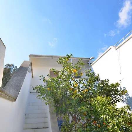 Casa Sonia 5 Pp Sx Torre Lapillo